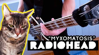 Radiohead  Myxomatosis bass cover by Tzinch [upl. by Notreb]