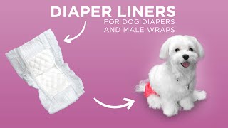 Disposable Diaper Liners  Paw Inspired® Liners For Dog Diapers Male Wraps and Covers [upl. by Sheena]