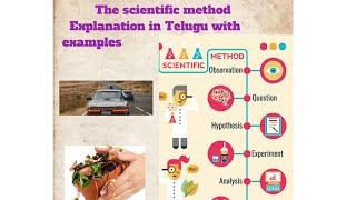 what are scientific methods  scientific methods with examples  with in 1 minute clear concept [upl. by Llennoj262]