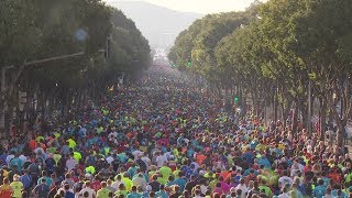 MarseilleCassis 2019  La ligne darrivée [upl. by Scrivenor]