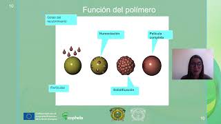 Módulo 3 Tema 4 Tabletas recubiertas [upl. by Nadoj858]