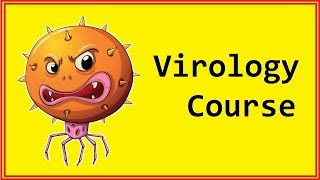 Virus Structure ☆ Virology Course ☆ Virus Lecture 04 [upl. by Olihs]