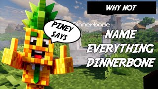 Dinnerbone and Invisible Fun [upl. by Ardnassela793]