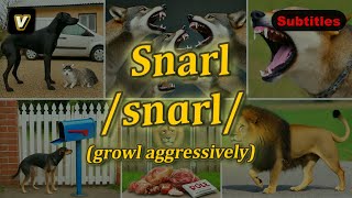 v Snarl meaning growl aggressively with 5 examples [upl. by Pooh]