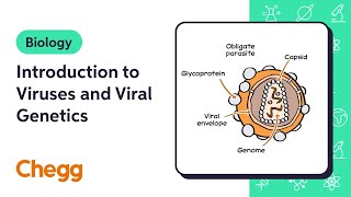 Introduction to Viruses and Viral Genetics  Biology [upl. by Atnes304]