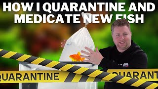 How I Quarantine and Medicate New Fish  My Routine for New Fish [upl. by Lune807]