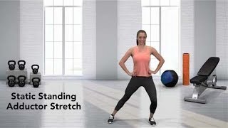 How to do a Static Standing Adductor Stretch [upl. by Sana]