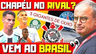 ðŸš¨ TIMÃƒO CONFIRMA 1Â° REFORÃ‡O P 2024 PSG ESTÃ DE OLHO  AS ÃšLTIMAS NOTÃCIAS DO CORINTHIANSÂ DEÂ HOJE [upl. by Toomay625]