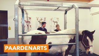 Op bezoek bij een paardenarts  PaardenpraatTV [upl. by Neras]