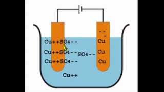 Electrolysis of Copper Sulphate Using Copper Electrodes [upl. by Roselin]