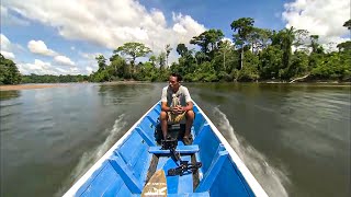 Suriname in the Heart of Endless Forests [upl. by Eremehc]