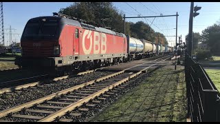 Austria 🇦🇹 Railways OBB Cargo Freight Train in the Netherlands 🇳🇱 Open Railroad Market in Europe [upl. by Nohtiek]