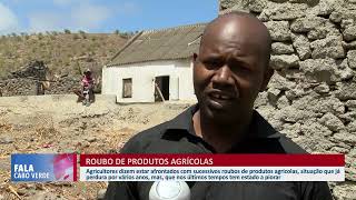 Roubo de produtos agrícolas em Santa Cruz  Fala Cabo Verde [upl. by Inalaehon]