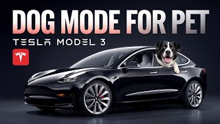 Tesla Model 3 2025 Upgrades amp Fun Features [upl. by Hardman]