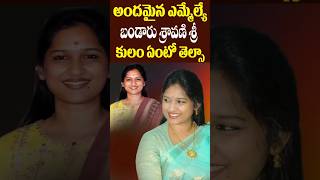 TDP MLA Bandaru Sravani Caste Details  Lifestyle  Singanamala MLA  Tollywood Nagaram [upl. by Einaoj]