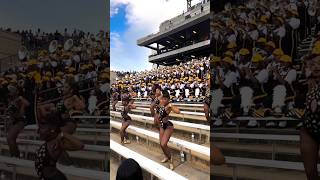 🖤💛🤍 majorette cheerleading hbcu [upl. by Annail]