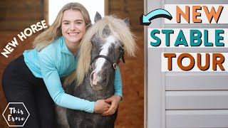 New Stable Tour Stable Renovation Series  This Esme AD [upl. by Isaiah836]