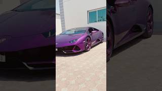 Chaleya ❤️ Shahrukh khana Ibrahim Qadri srk ibrahimqadri dubai lamborghini [upl. by Assirem]