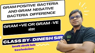 Difference between Gram positive bacteria and Gram negative bacteria  Gram ve or gram ve अंतर [upl. by Pamella]