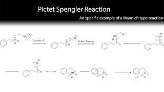 The Pictet Spengler Reaction Mechanism [upl. by Ajnos]