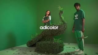 adicolor  Green  adidas Originals [upl. by Garibold]