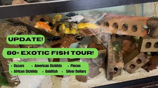 Tour Of All My Aquariums amp Ponds in ONE VIDEO Update [upl. by Omari]