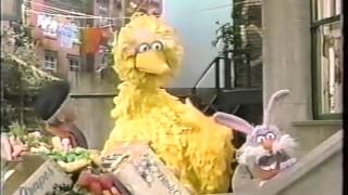 Sesame Street  Big Bird Listens [upl. by Paulo]