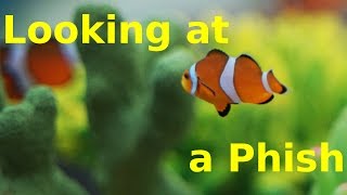 PSA  What does a Phish look like [upl. by Verbenia429]