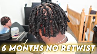 6 Months No Retwist CRAZY Dreadlocks Transformation Two Strand Twist on Locs [upl. by Ecinrev285]