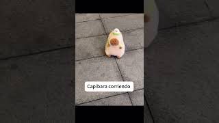 capibara corriendo funny videosgraciosos animals cute viralvideo [upl. by Eceela]