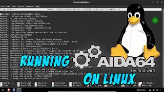 Running Aida64 on Linux [upl. by Audrye]