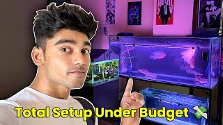 Complete Monster Tank Setup Under Budget 💸  Total Cost of 5ft Aquarium  Dont Do this Mistakes🙏 [upl. by Nazarius970]