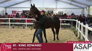 Lot 61  King Edward [upl. by Martainn]