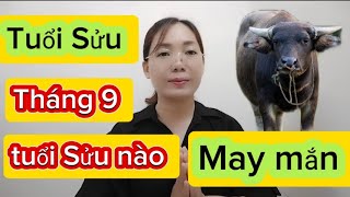 tuổi Sửu nào tháng 9 ÂL năm 2024 may mắn [upl. by Monika]