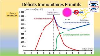 Déficit immunitaire primaire Humoral Cellulaire Combiné sévère Systeme innés adaptatifs Héréditaire [upl. by Niamart682]