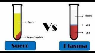 🔴 DIFERENCIAS ENTRE PLASMA Y SUERO SANGUINEO [upl. by Nnylorac]