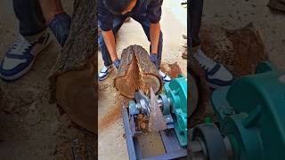 The Amazing tree cutting machine cuttingskills treework cuttingmachine cutter short viral [upl. by Acyre]