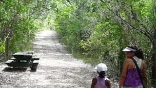 Bosque Seco de Guanica [upl. by Keisling]