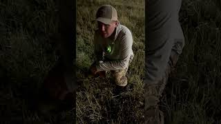 Every Hunting Influencer Ever hunting influencer backfire viralvideo [upl. by Llehcam]