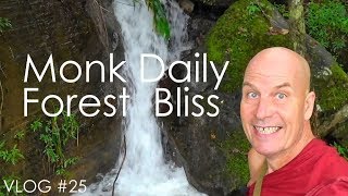 VLOG 25 Monk Daily  Forest Bliss [upl. by Einnal562]