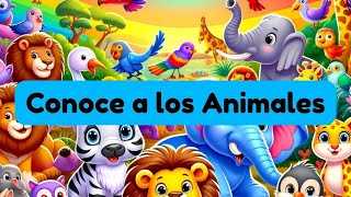 🐾 Conoce a los Animales 🦁 [upl. by Assenna]