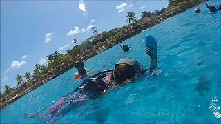 CHANKANAAB NATIONAL PARK SNORKELING EXCURSION COZUMEL MEXICO [upl. by Bish]