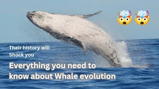 The Incredible Evolution of Whales From Land to Sea Giants [upl. by Brunk262]