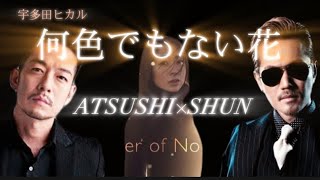 何色でもない花宇多田ヒカル 【ATSUSHI×清木場俊介 Cover】 [upl. by Melisse]