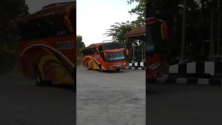 Bus Halmahera bushalmahera huntingbus [upl. by Arda]