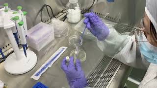 inoculating a liquid bacterial culture [upl. by Chara]