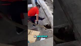 Encontraron Una Serpiente en la Tubería ❌🐍 [upl. by Steffin582]