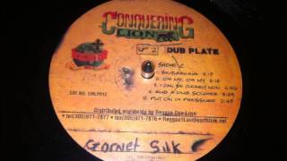 Garnett Silk amp Tony Rebel  Rub A Dub Soldier [upl. by Richardson]