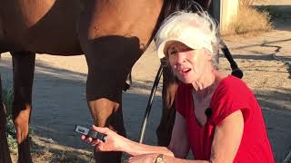 Helping Horses with Dropped Fetlocks [upl. by Ticon]