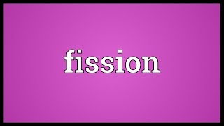 Fission Meaning [upl. by Oz]